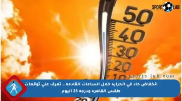 انخفاض حاد في الحرارة خلال الساعات القادمة.. تعرف على توقعات طقس القاهرة ودرجة 25 اليوم